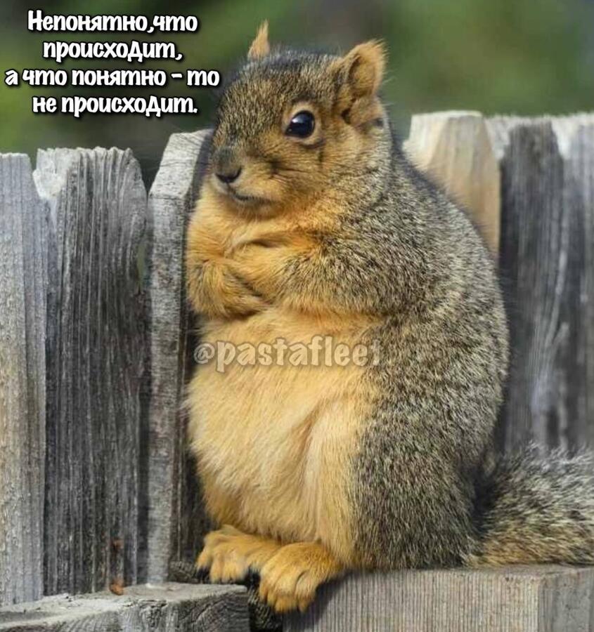 Так и живём