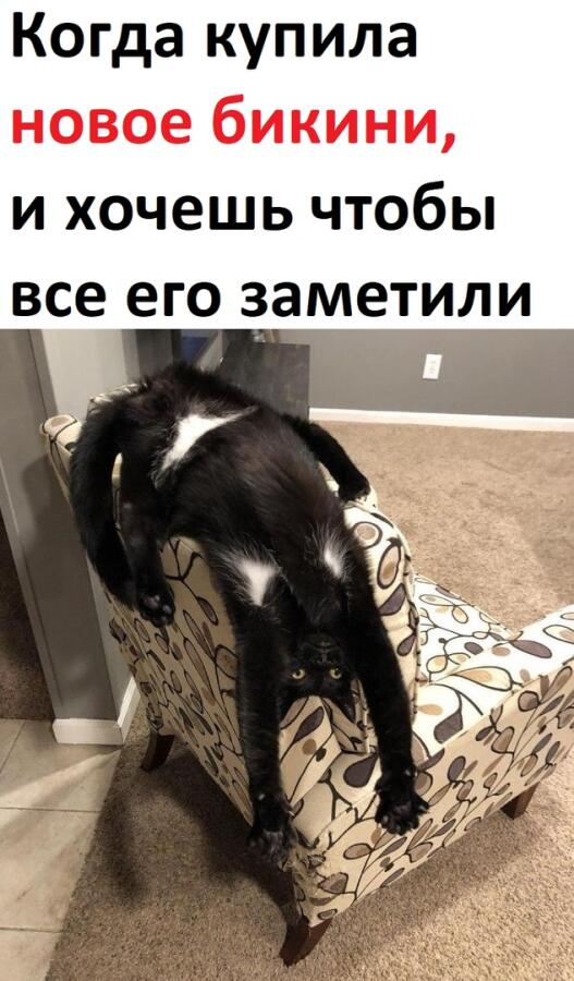 Мем от Melony