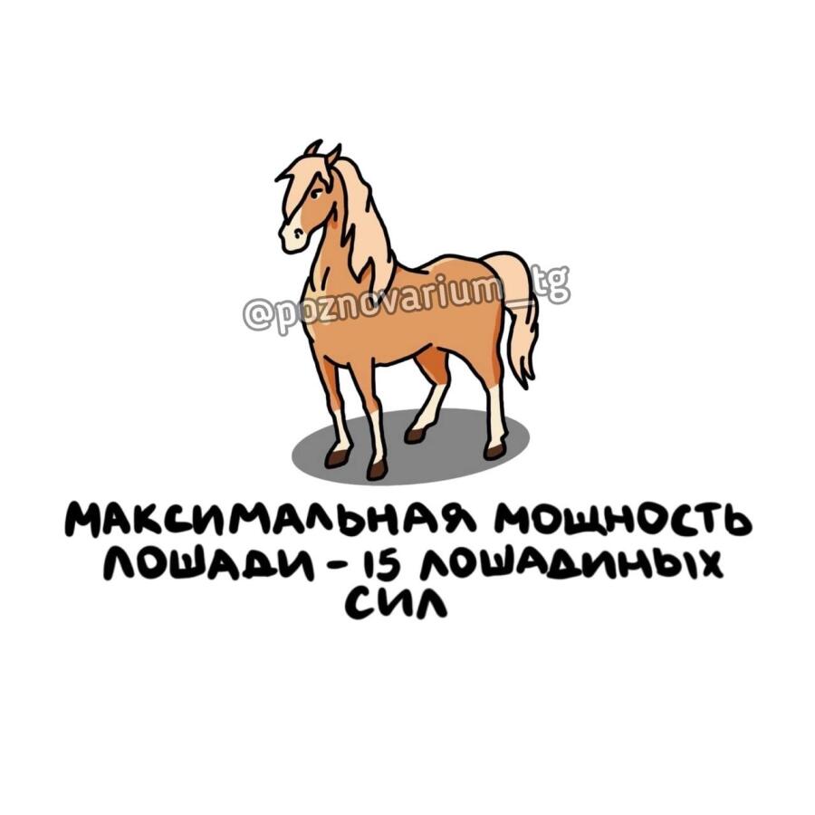Парадокс ¯\_(ツ)_/¯