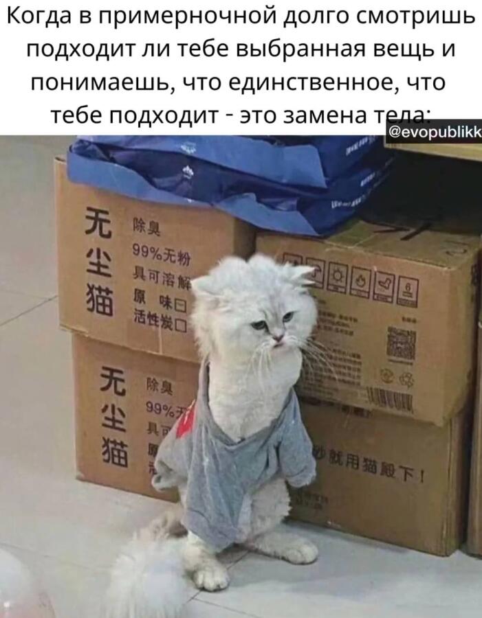 Мем без подписи