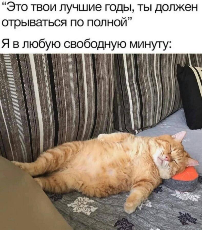 люблю спать
