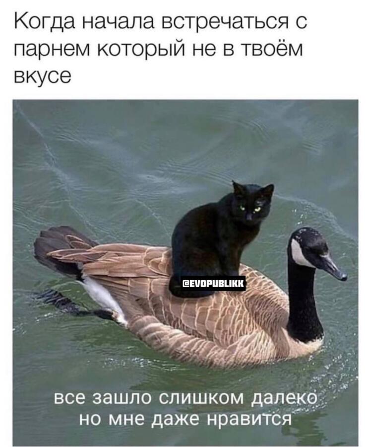 Мем без подписи