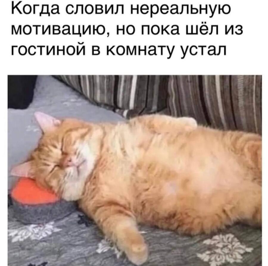 Мем от 4elbyre4ek