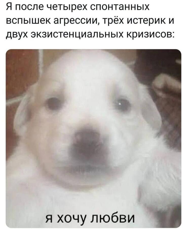 Мем от 4elbyre4ek