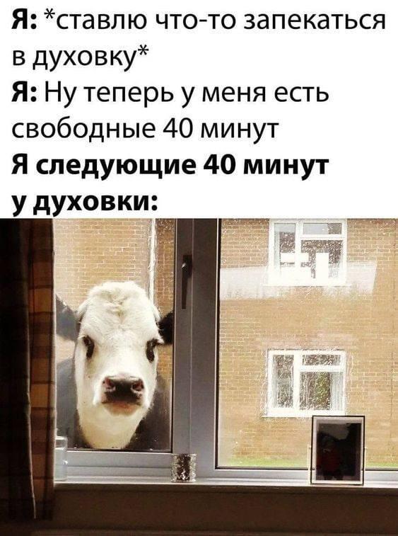 Мем без подписи