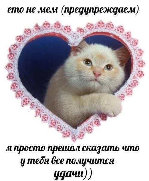 это не мем