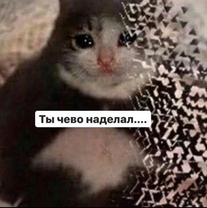 Все мобы когда умирают падают на бок 
Эндер дракон: