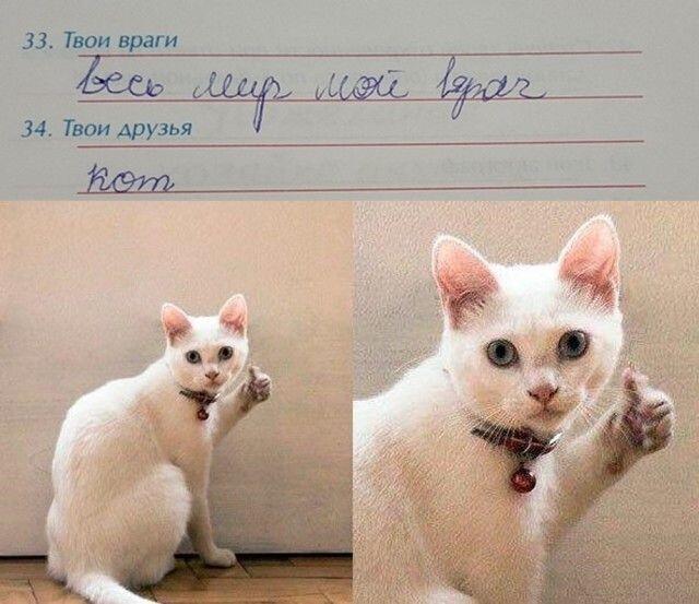 Мем от Sashaalexey