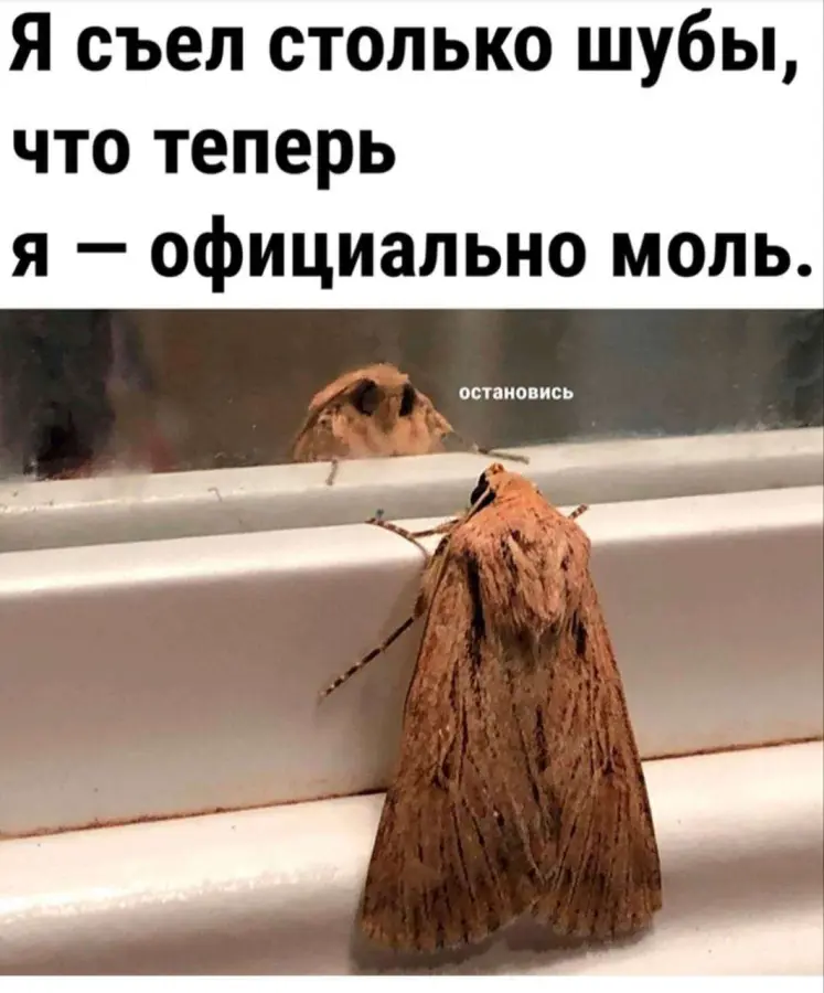 Есть нужно каждые