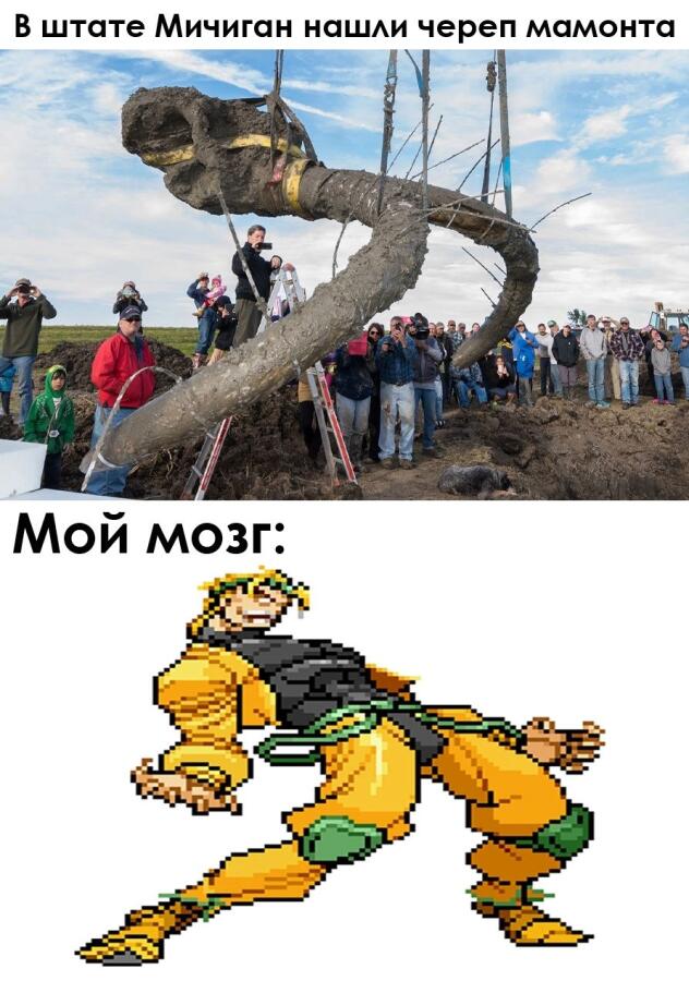 WRYYYYY