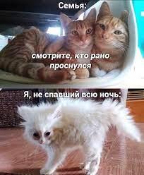 Это мем