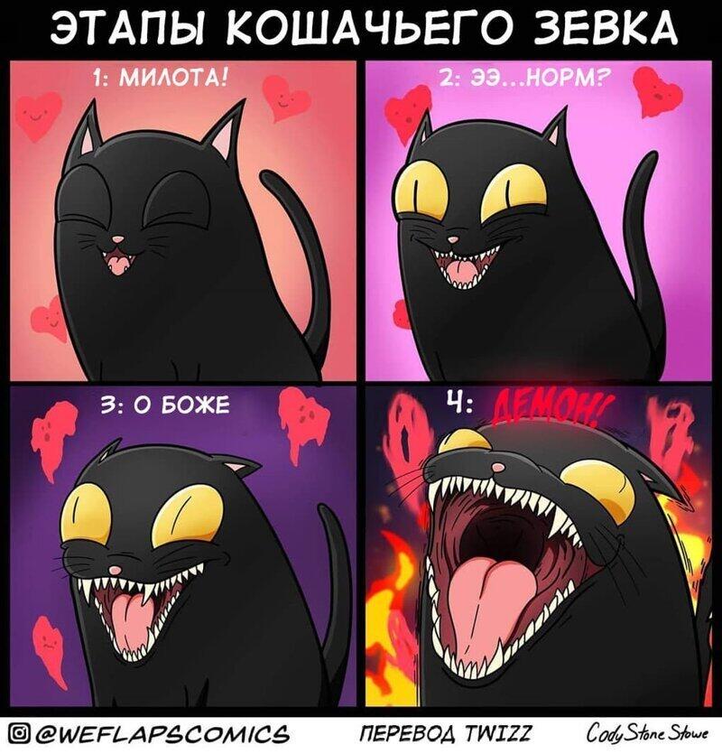 Поймут только кошатники