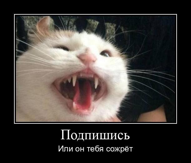 Мем от Dacady_Dev