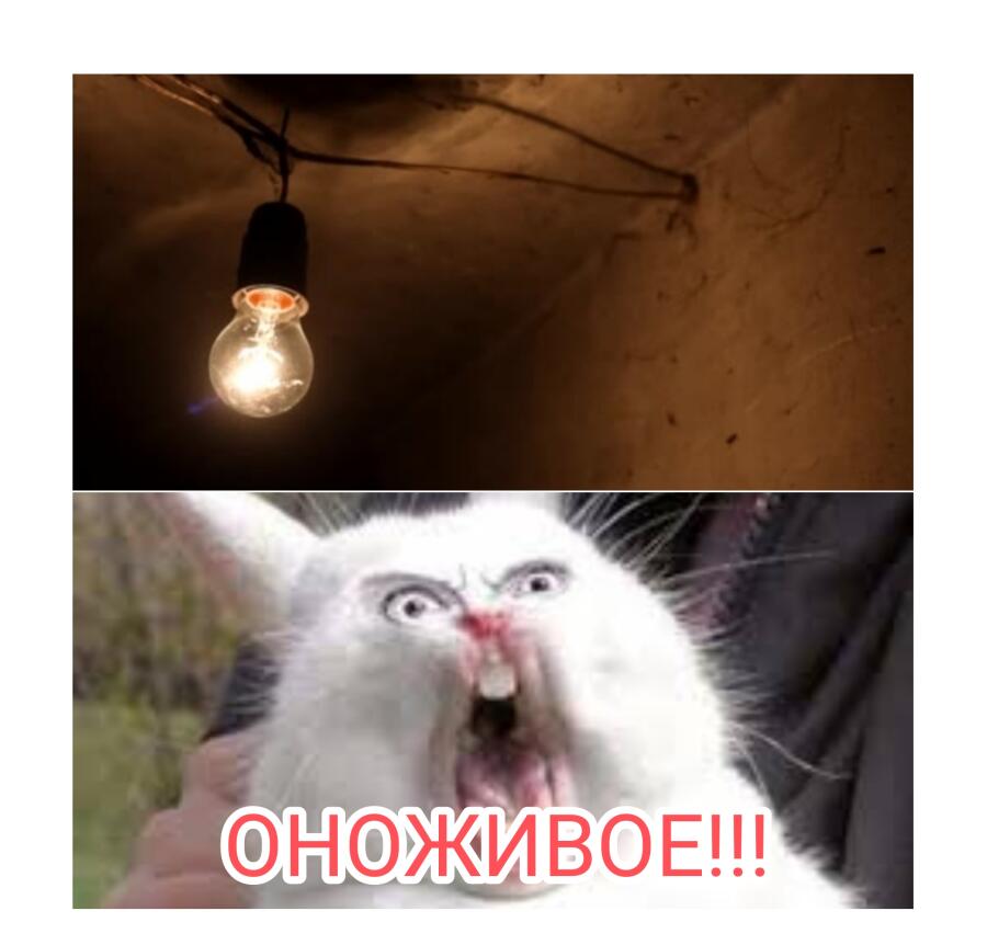 Школьные лампочки: существуют 
Эпилептики:
