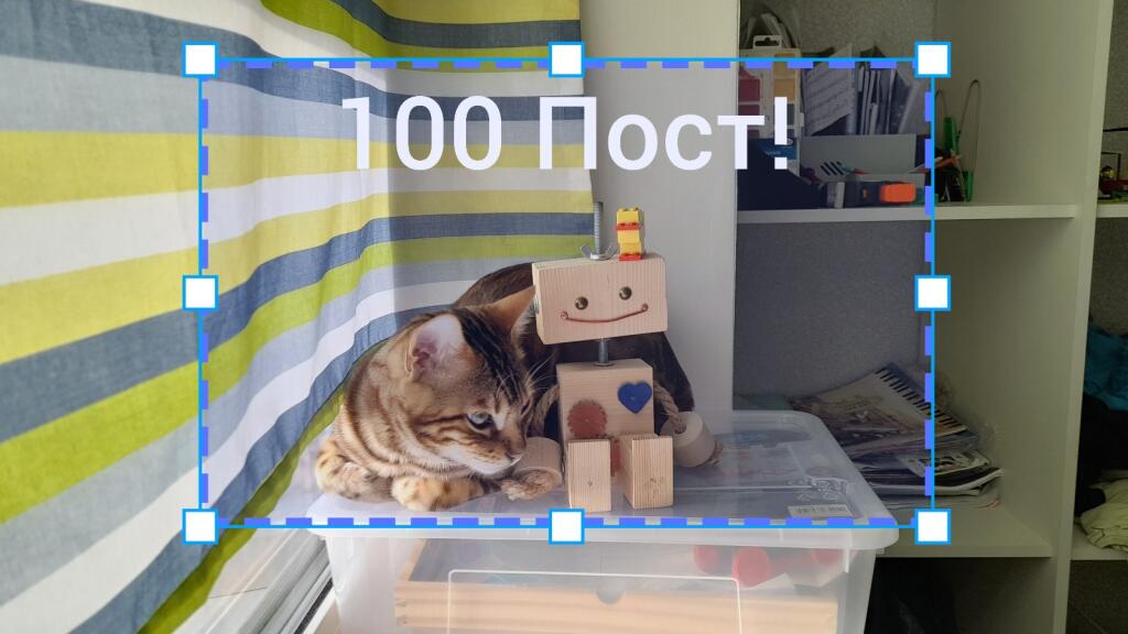 Полосатый кот лежит на прозрачном контейнере рядом с деревянным роботом-игрушкой, сверху надпись 100 Пост!