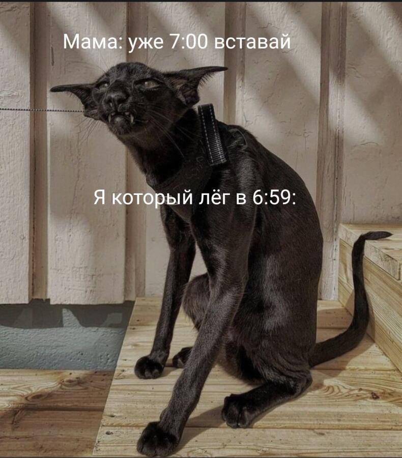 Мем от Headpelmen