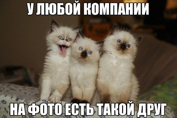 Мем от Headpelmen