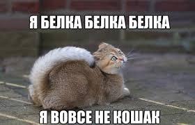 Мем от Headpelmen