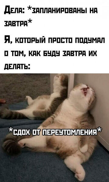 Кот лежит на полу с высунутым языком и лапами вверх, изображая крайнюю степень усталости от планирования задач.