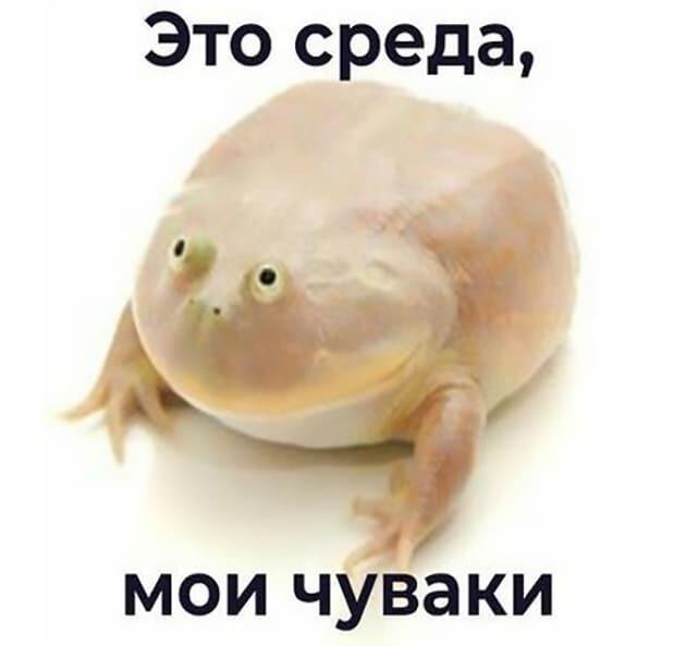 Это среда мои чуваки