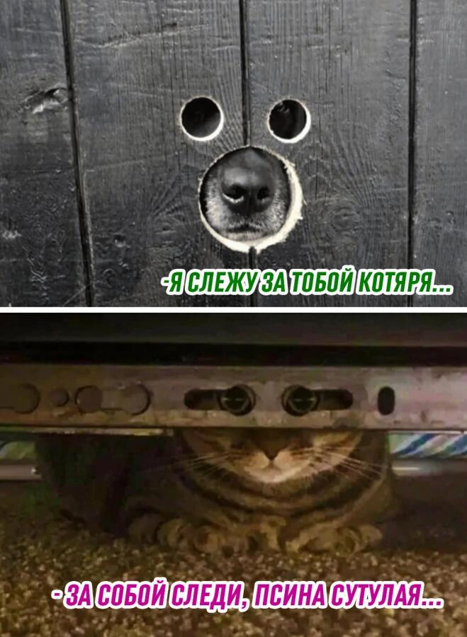 Два ФСБшника следят за друг другом