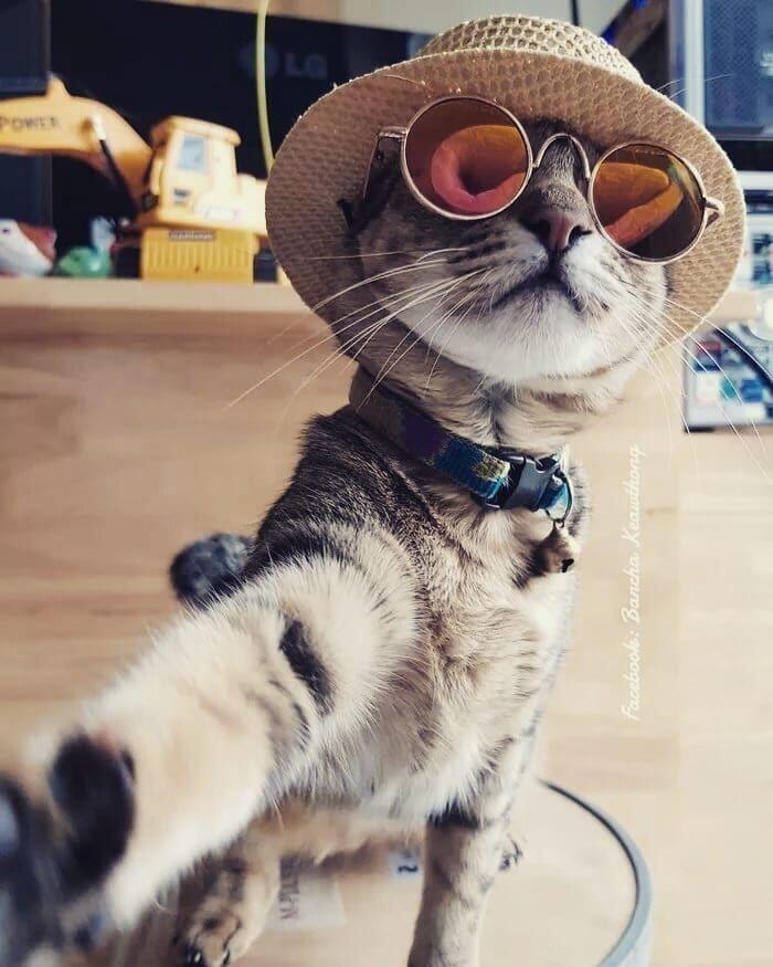 Когда наступили летние каникулы!!!