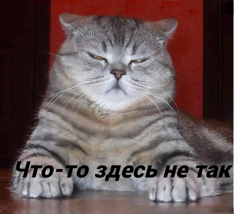 Когда в ресторане попросил шаурму, а принесли какие-то овощи в булке,...