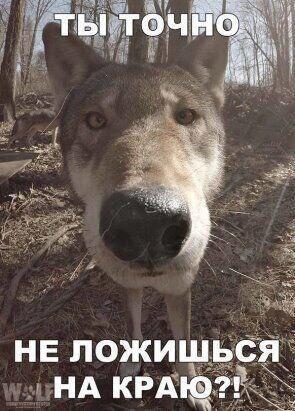 Мем от Ram Browny ушёл