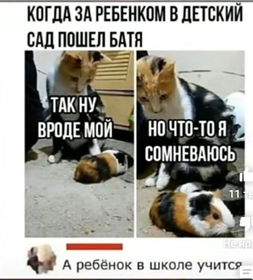 Мем от Ram Browny ушёл