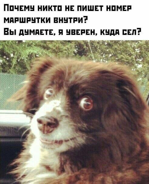 Мем от Ram Browny ушёл