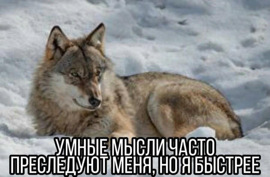 Мем от Ram Browny ушёл