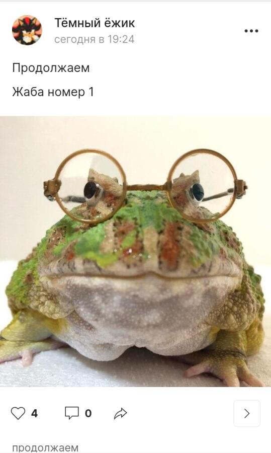 2ая жаба