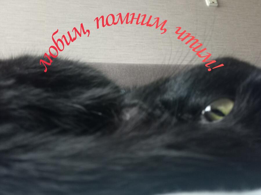 Да жизнь некого не жалеет, тем более воспаление лëхких,  
Ты прожил ровно 5 лет, 5 лучших лет 
Как жалко прошла всего 
