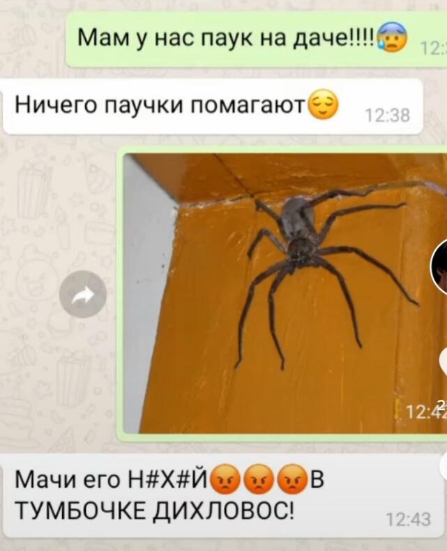 Я бы сжёг дом