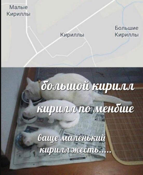 Мем от МУЧАХАРИ