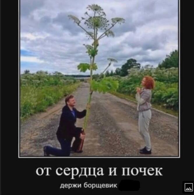 Ну а чо