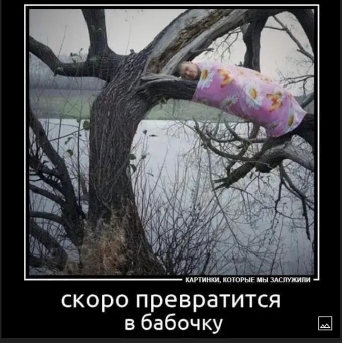 Мем от МУЧАХАРИ