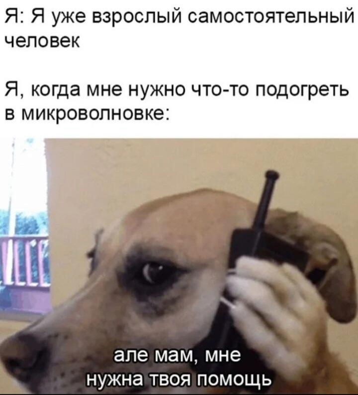 Мем от МУЧАХАРИ
