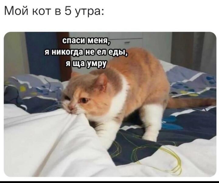 Мем от МУЧАХАРИ