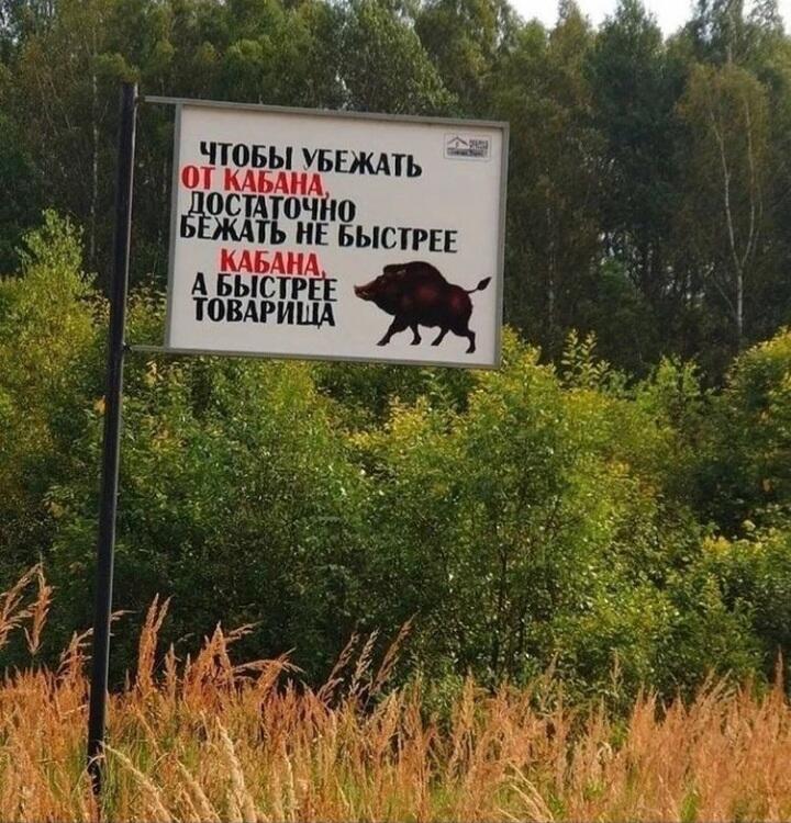 Мем от МУЧАХАРИ