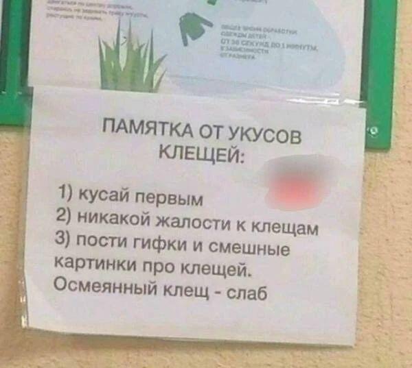 Бумажная памятка с ироничными советами от клещей: кусай первым и пости смешные картинки