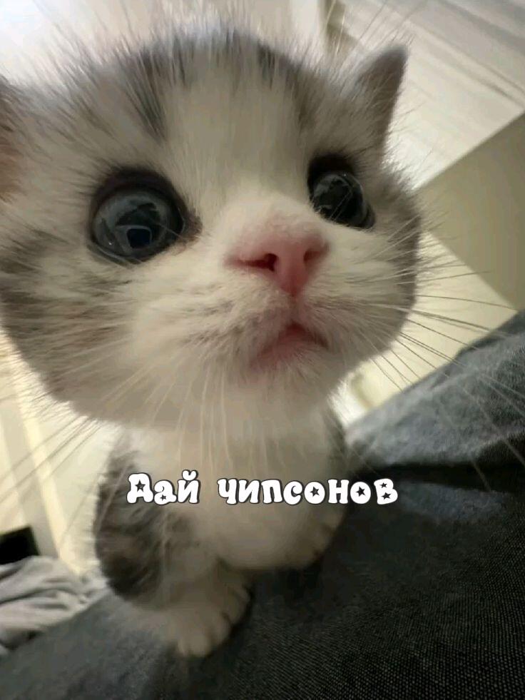 Есть вещь которой нельзя отказать