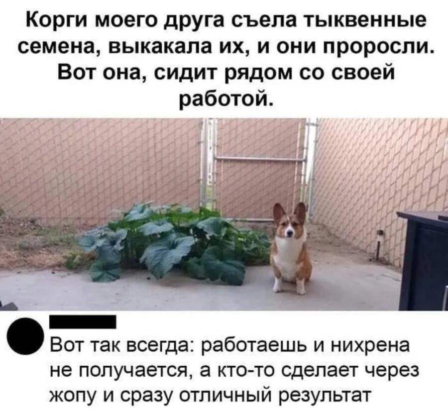 Мем без подписи
