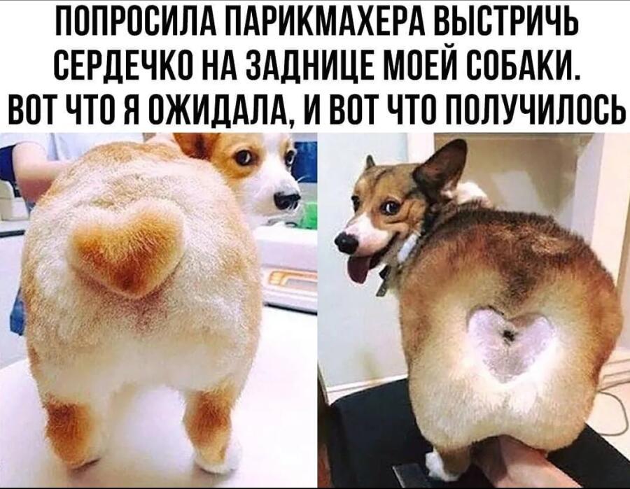 Сердечко есть, всё честно