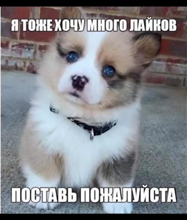 Мем без подписи