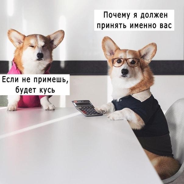 Надеюсь, что она получит работу