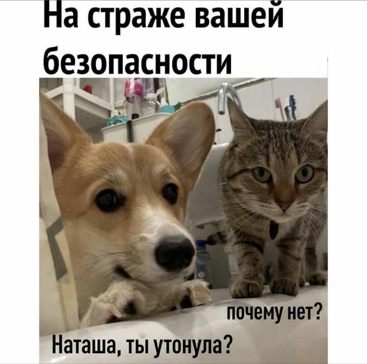 Мем без подписи