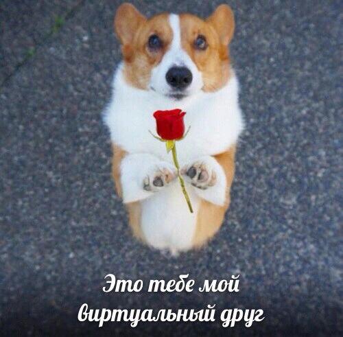 Мем без подписи