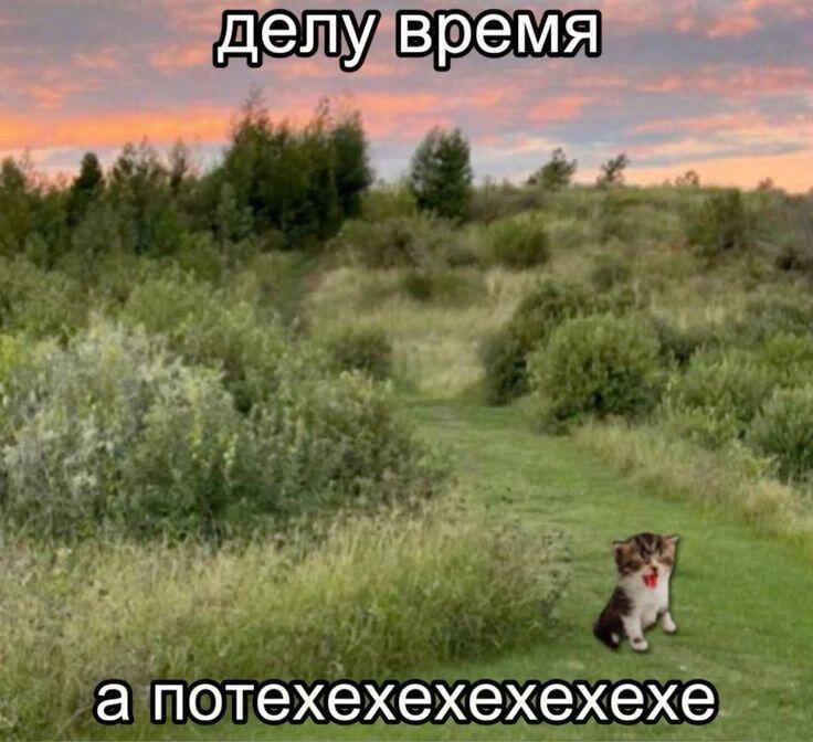 Котенок сидит на траве, на фоне заката, с текстом «делу время, а потехехехехехехе