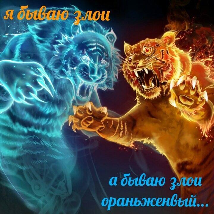 Мем от КоТеЙкА
